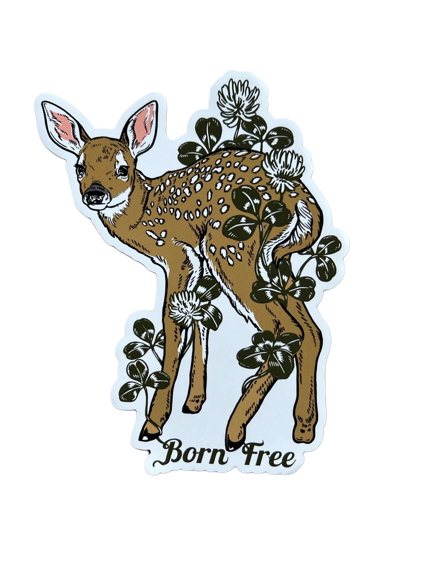 Born Free Magnet
