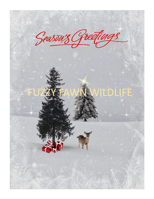 Season's Greetings Holiday Card - Set of 10